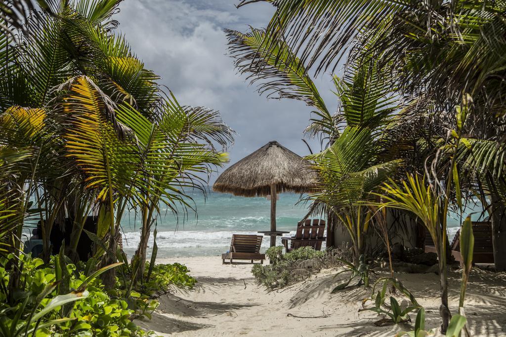 Amoreira Hotel Tulum