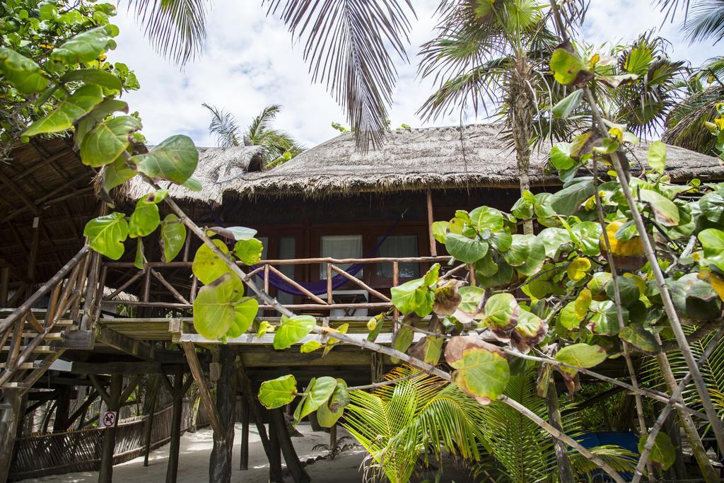 Amoreira Tulum