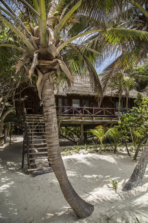 Amoreira Hotel Tulum