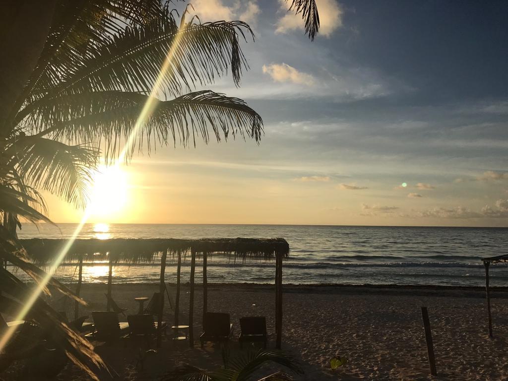 Agua Eco Design Hotel Hotel Tulum