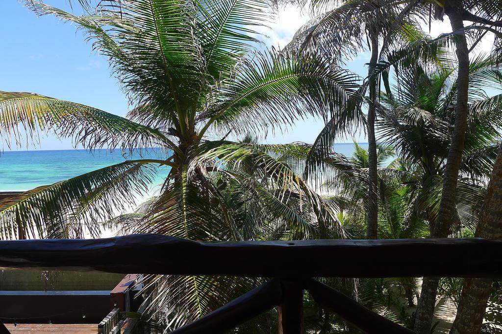 Amoreira Hotel Tulum