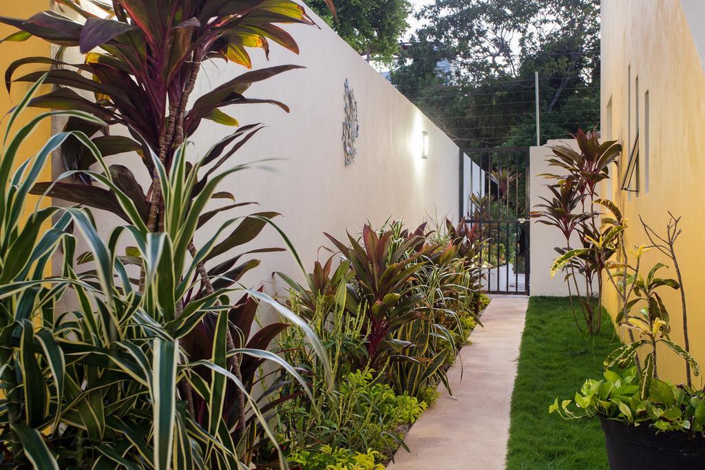 Casa Cacao *
