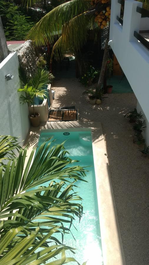 Casa Che 3*