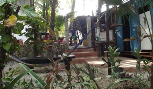 Tunich Jungle Guest house