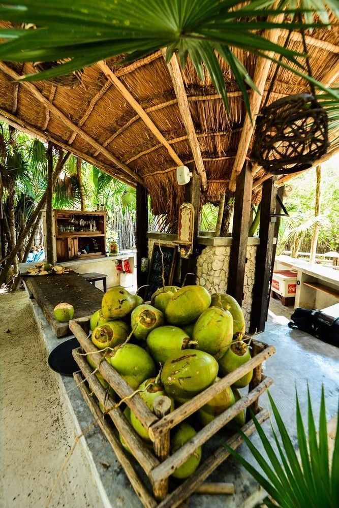 Manglex Eco Hotel Tulum 3*