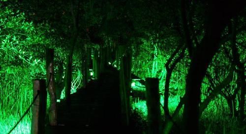 Manglex Eco Hotel Tulum Hotel