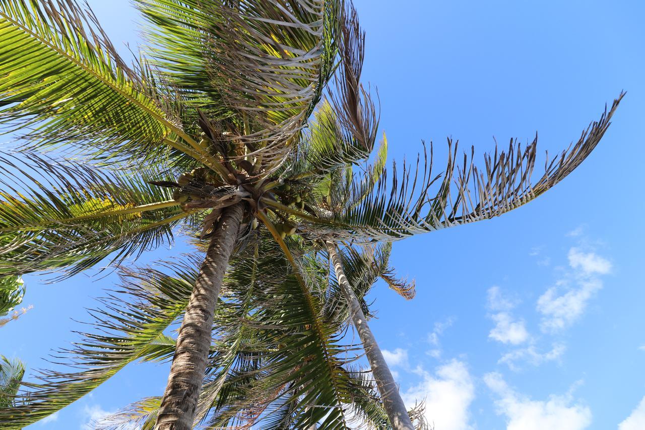 Hotel Amigos Boutique 4*