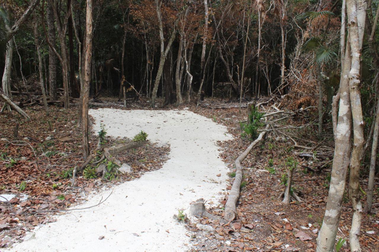 Stage One Camping * Tulum