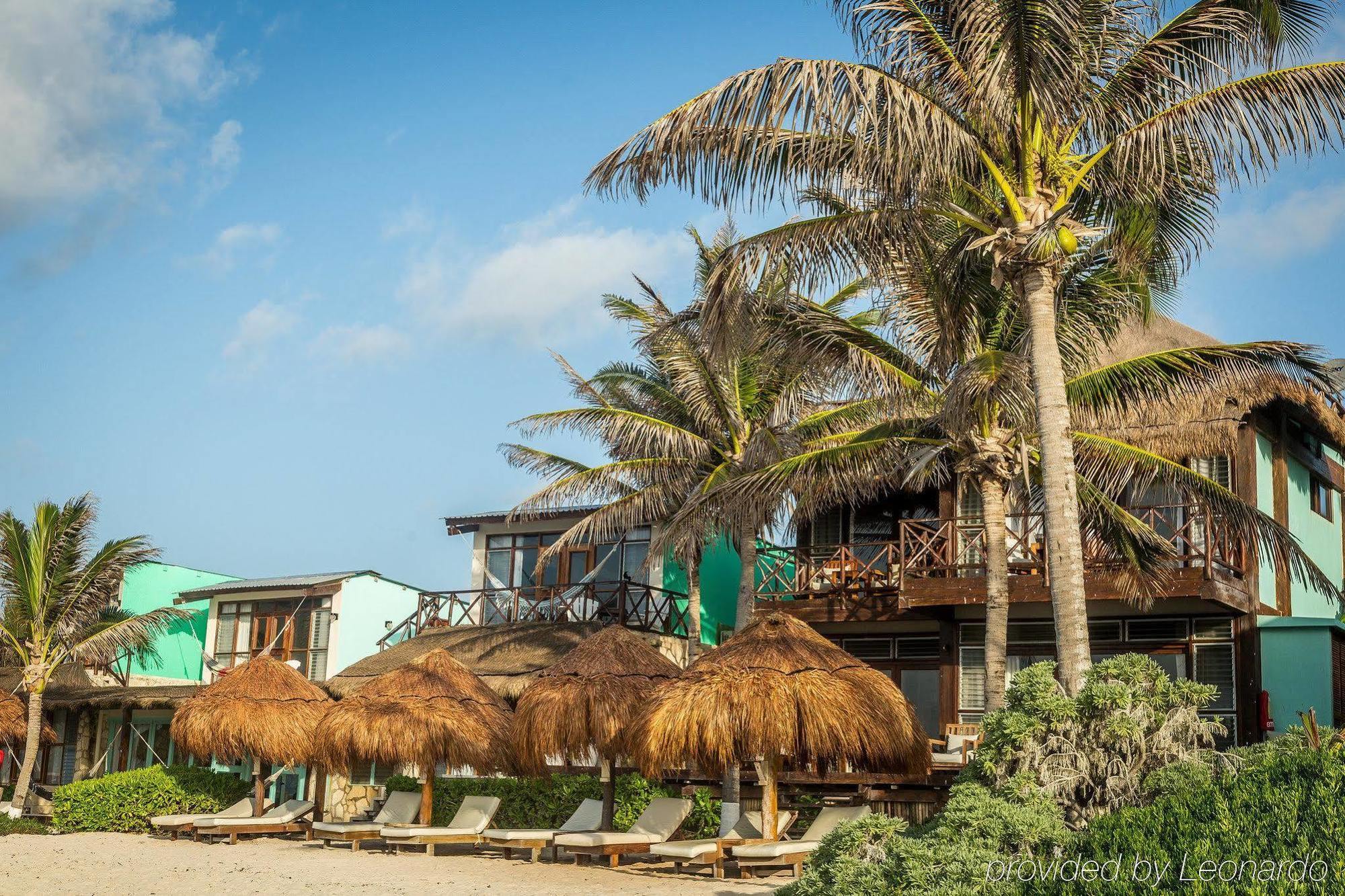 Hotel El Pez A Colibri Boutique