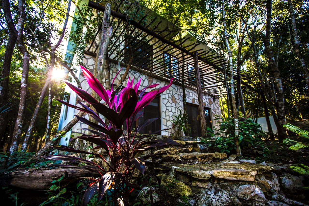 Bed & Breakfast Escarabajo Rojo Tulum