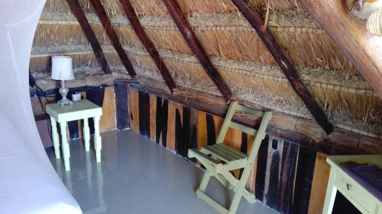Lodge Eco *