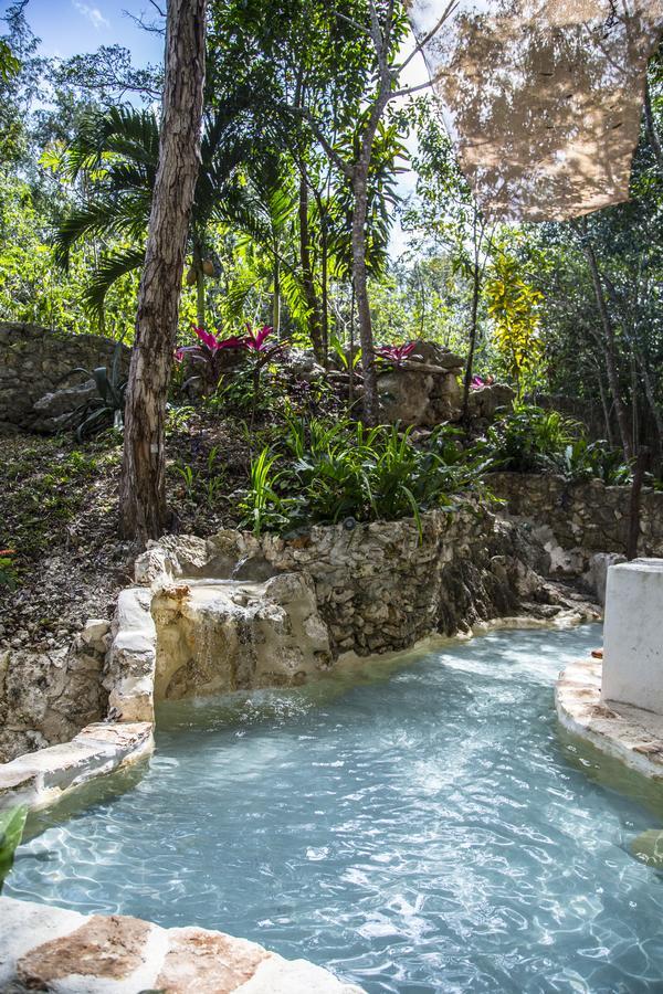 Bed & Breakfast La Selva Mariposa *