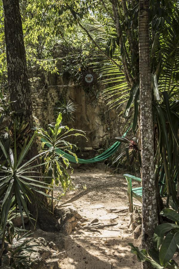 Bed & Breakfast La Selva Mariposa *