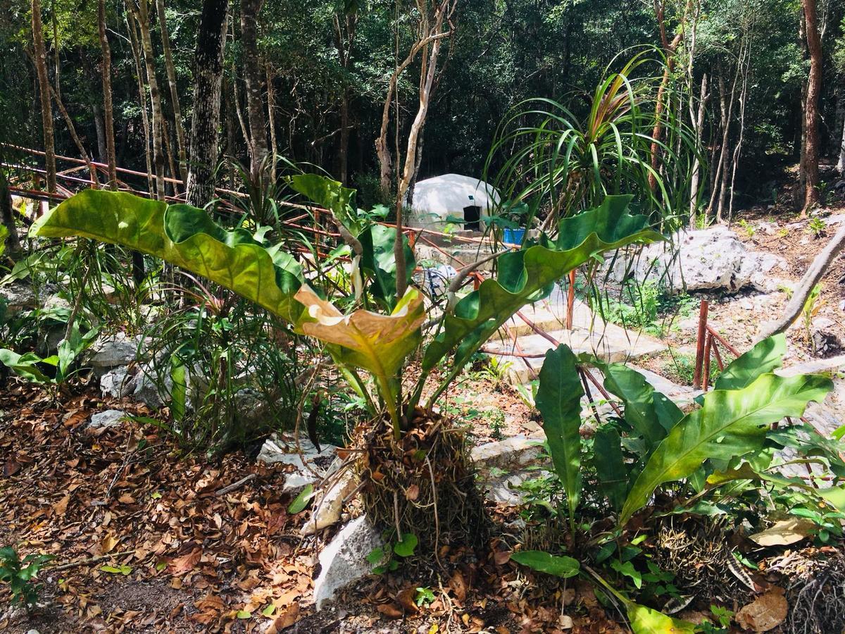 Campsite Cabanas Camping Yaxmuul Tulum