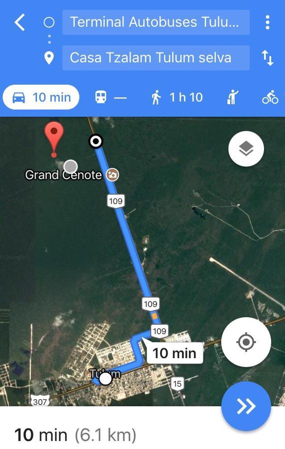 Bed & Breakfast Casa Tzalam Selva 4*