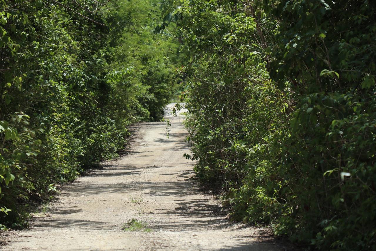 Casa Tzalam Selva 4*