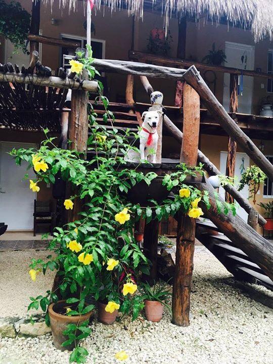 Casa Tzalam Selva Bed & Breakfast 4*