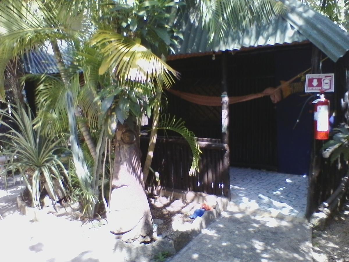 Rancho Tranquilo Hostel Tulum