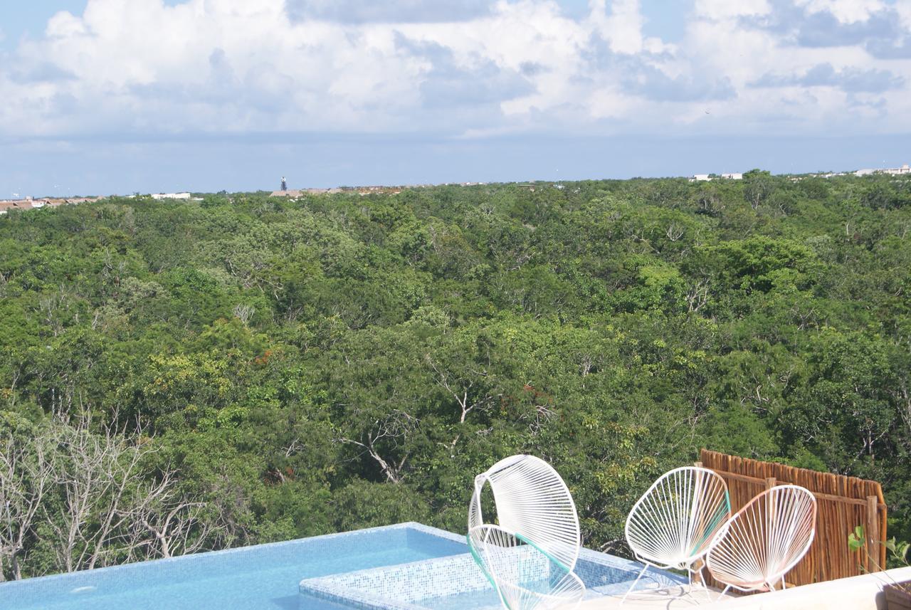 Rooftop Pool Apartment