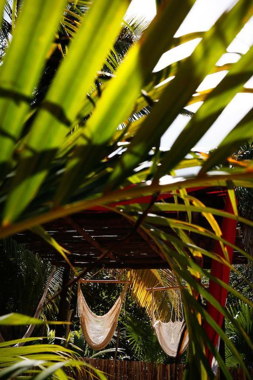 Casa Selva De Luz Tulum