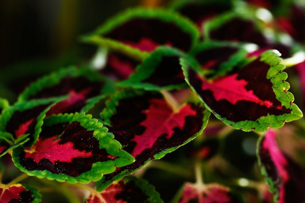 Apartment Casa Selva De Luz