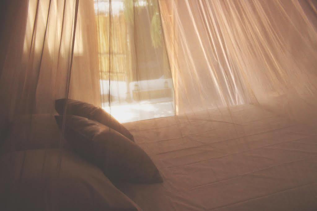 Hotel Maya Y Cenote 2*