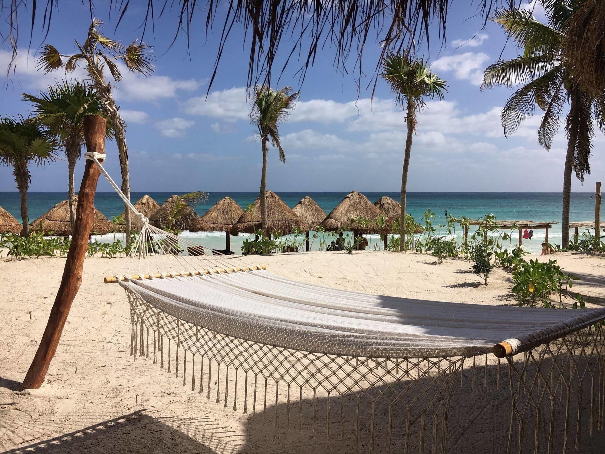 Hotel Alma 3*
