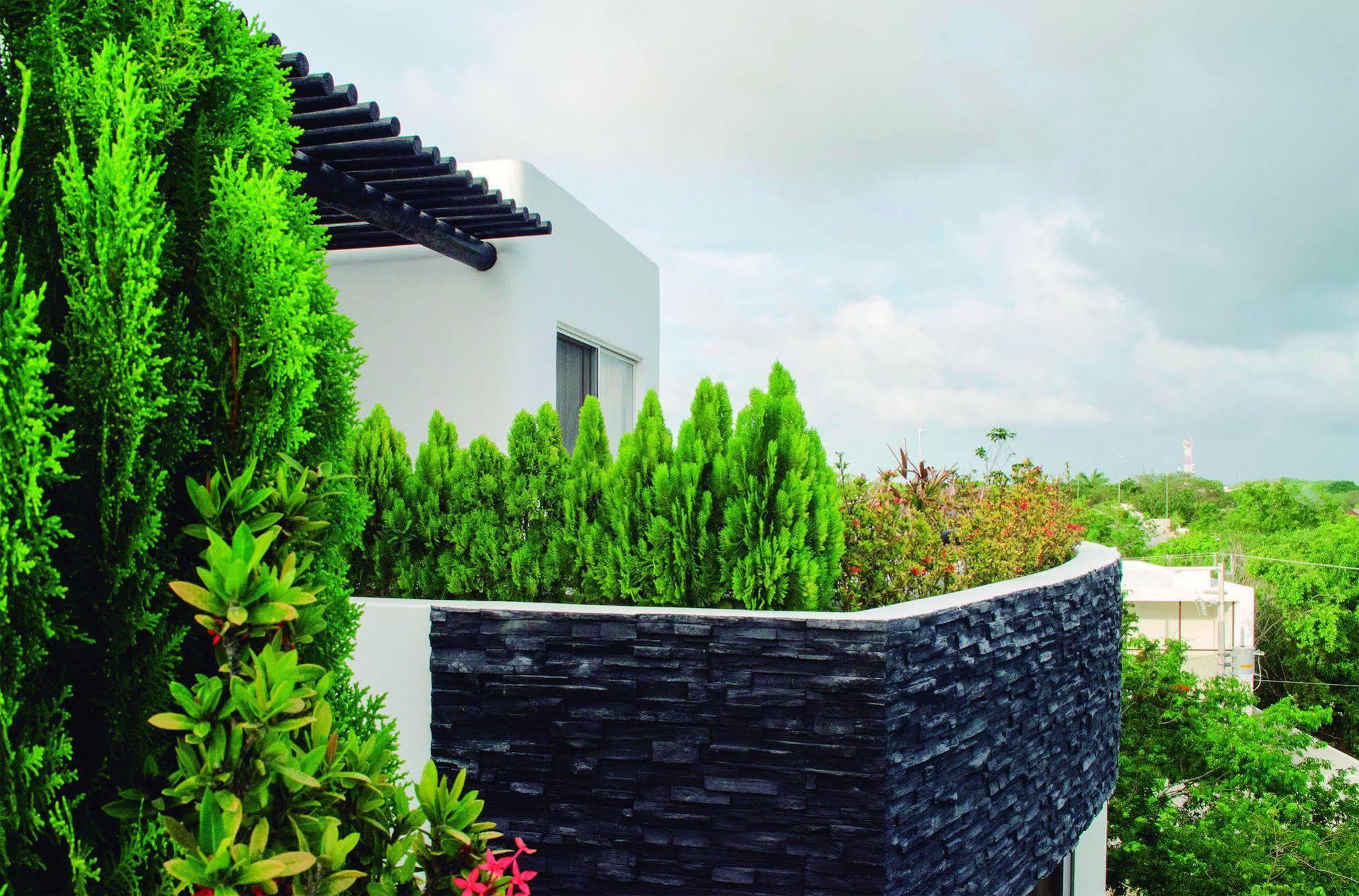 Coco Village Hotel Tulum