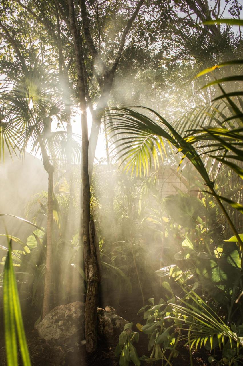 Jungle Keva & Venue Pousada Tulum
