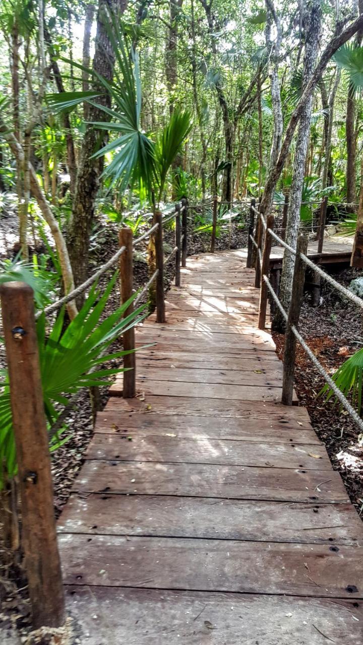 Ajal Tree House Hotel 4*