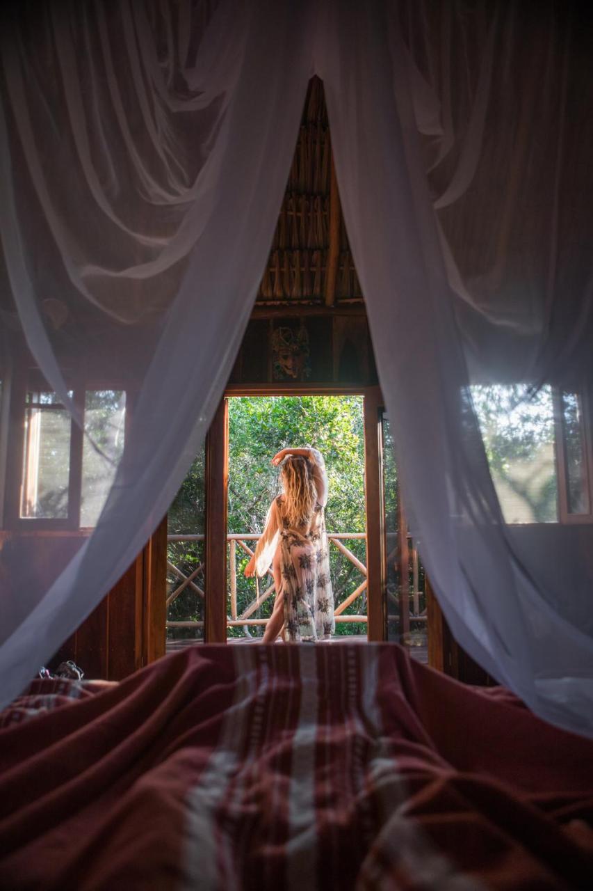 Ajal Tree House Hotel 4*
