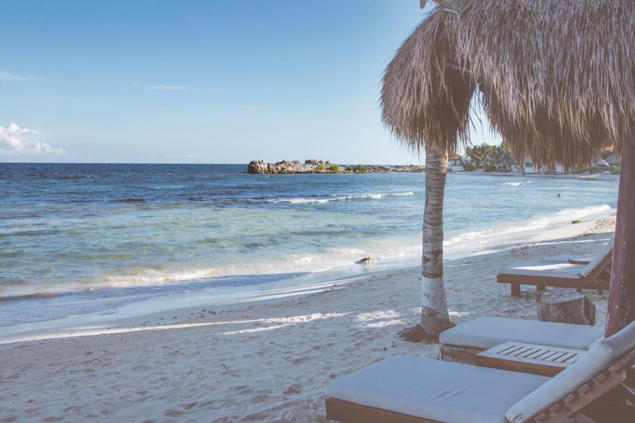 El Pez A Colibri Boutique Hotel Tulum