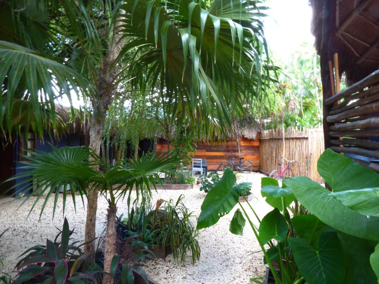 Hostel Hostel El Punto Tulum