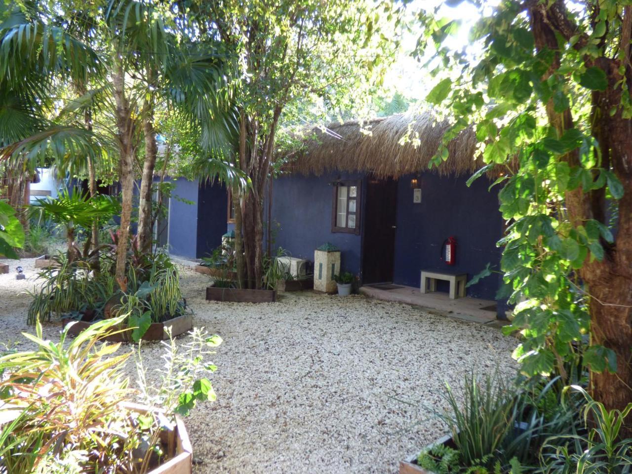 Hostel El Punto Hostel *
