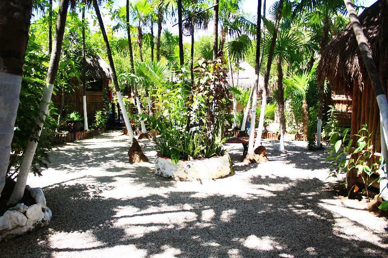 Maya Y Cenote Hotel Tulum