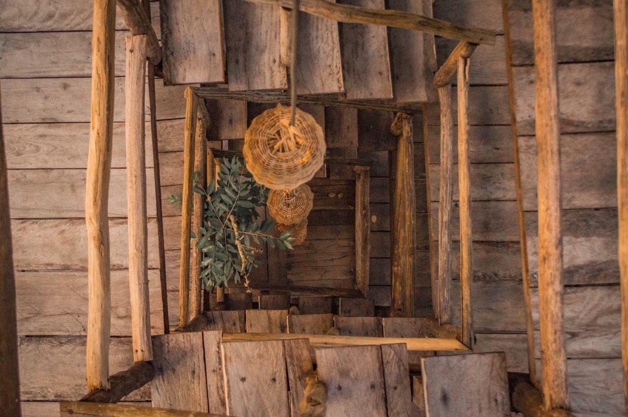 Ajal Tree House Hotel 4*