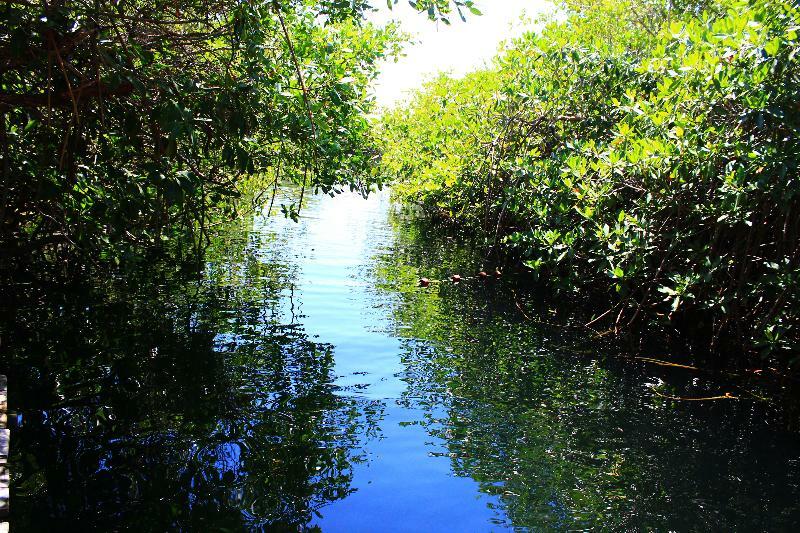 Maya Y Cenote 2* Tulum