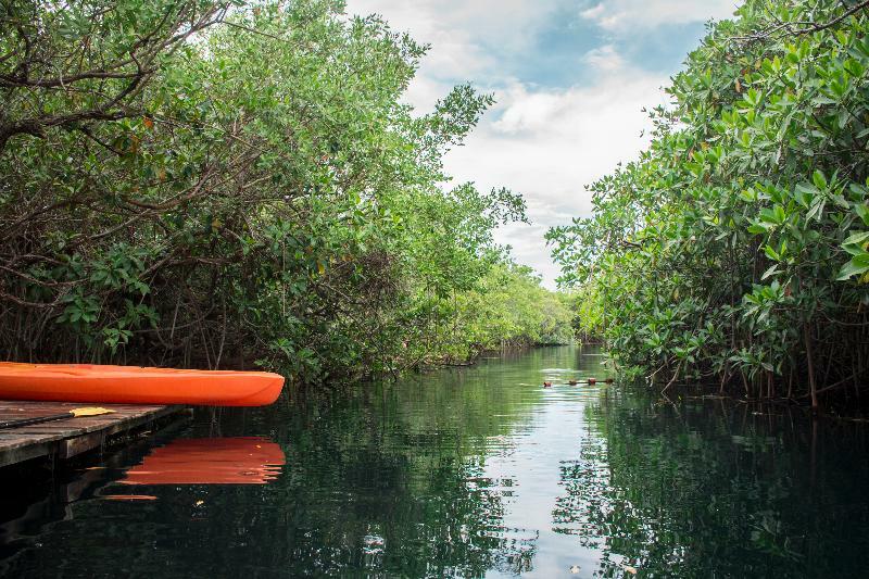 Maya Y Cenote Hotel Tulum