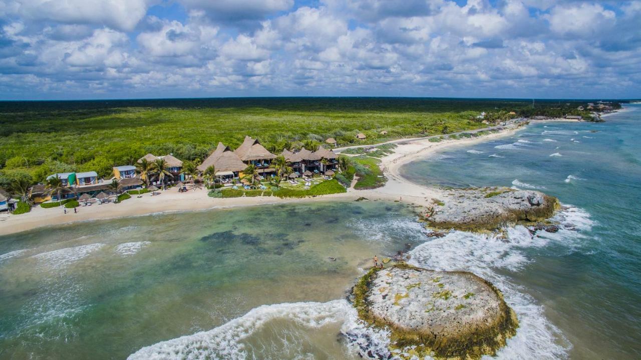 El Pez A Colibri Boutique Hotel 5*