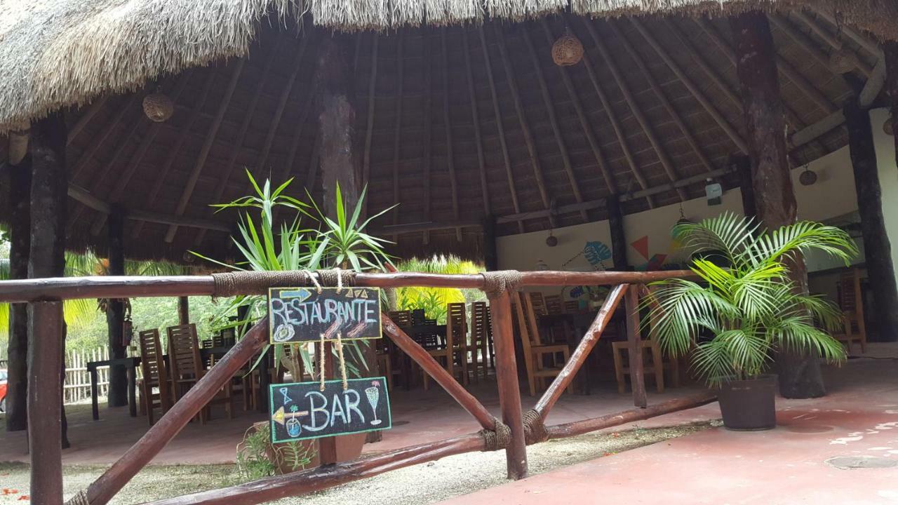 Hotel Jungle House &