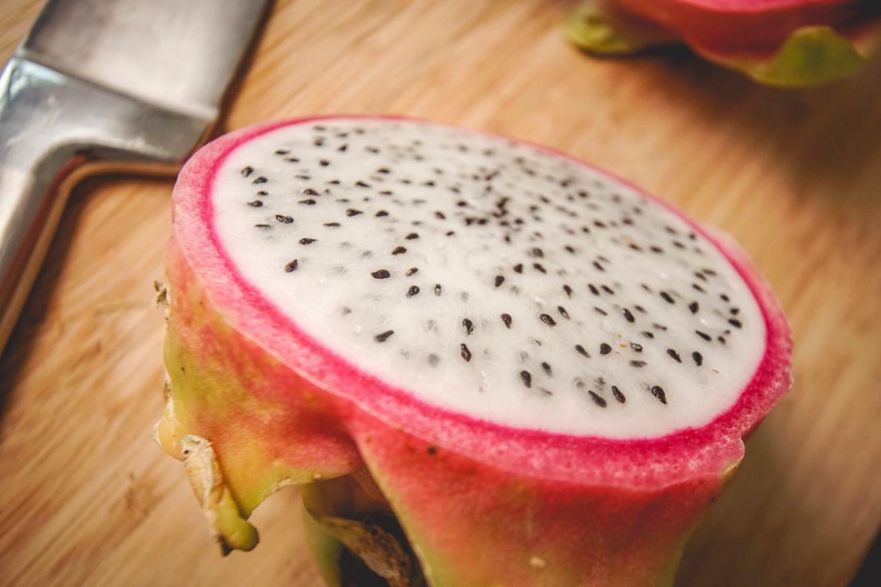 Yaxiik 23 By Nalum Holiday home Tulum