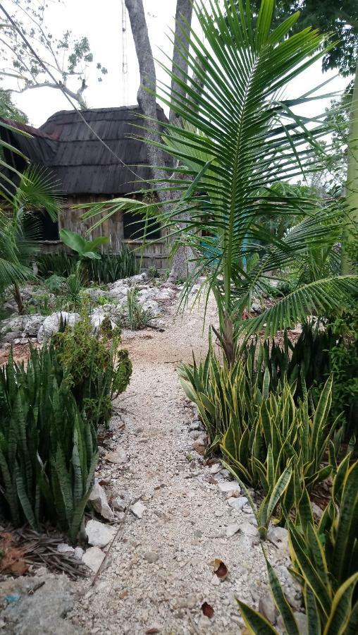 Jungle Oasis Holiday home