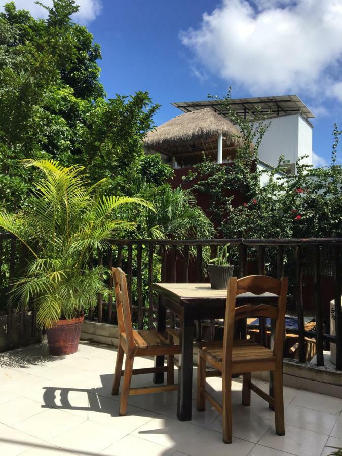 Cha Cha Cha Hostel *