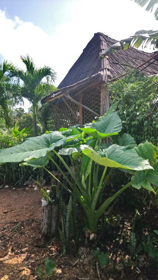 Jungle Oasis Holiday home Tulum