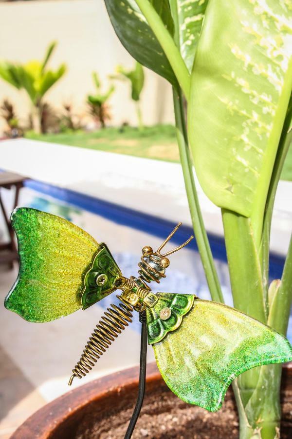 Stunning For 10-cabana-private Pool-parking * Tulum