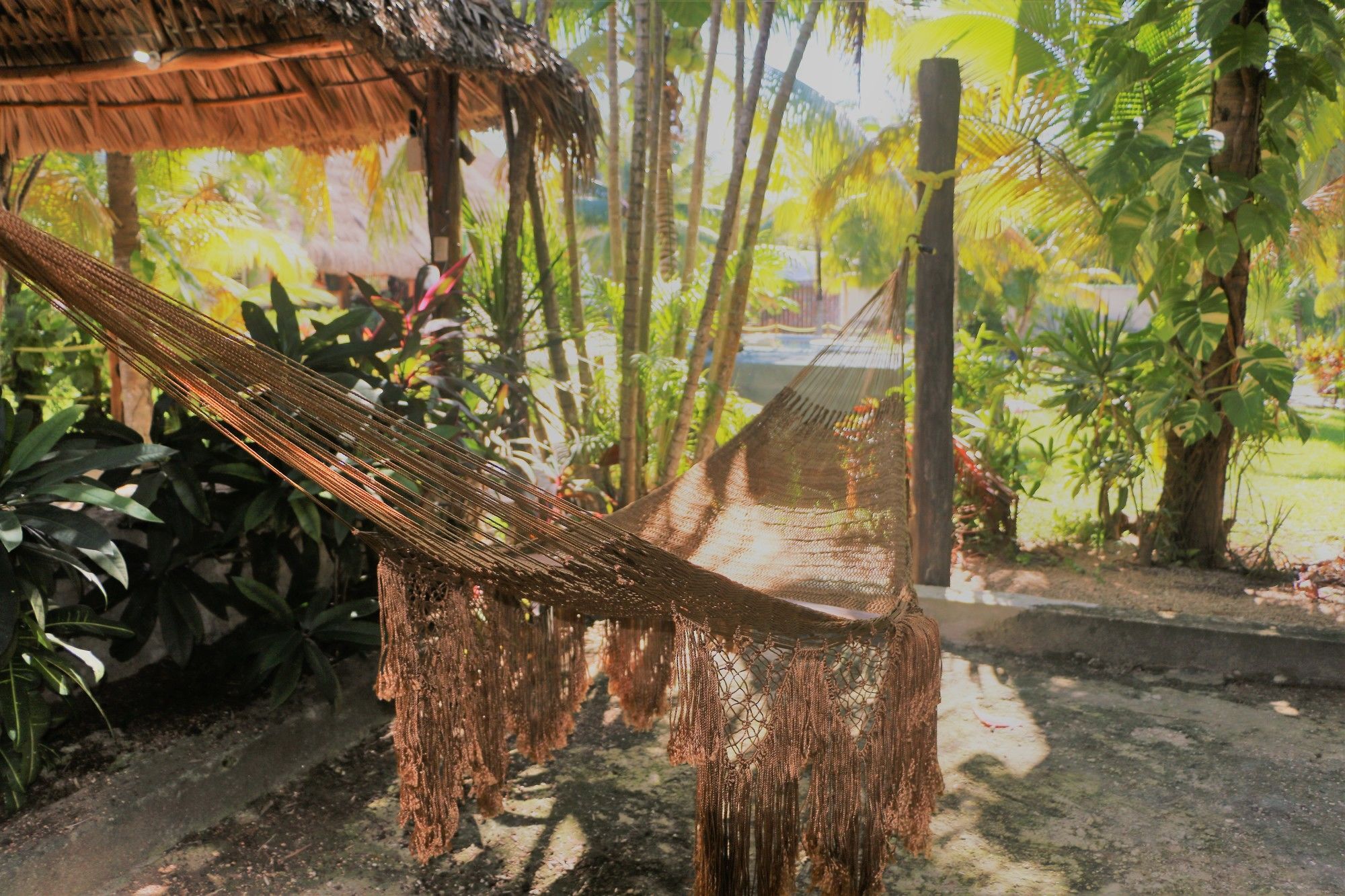 Guest house El Capitan 3*