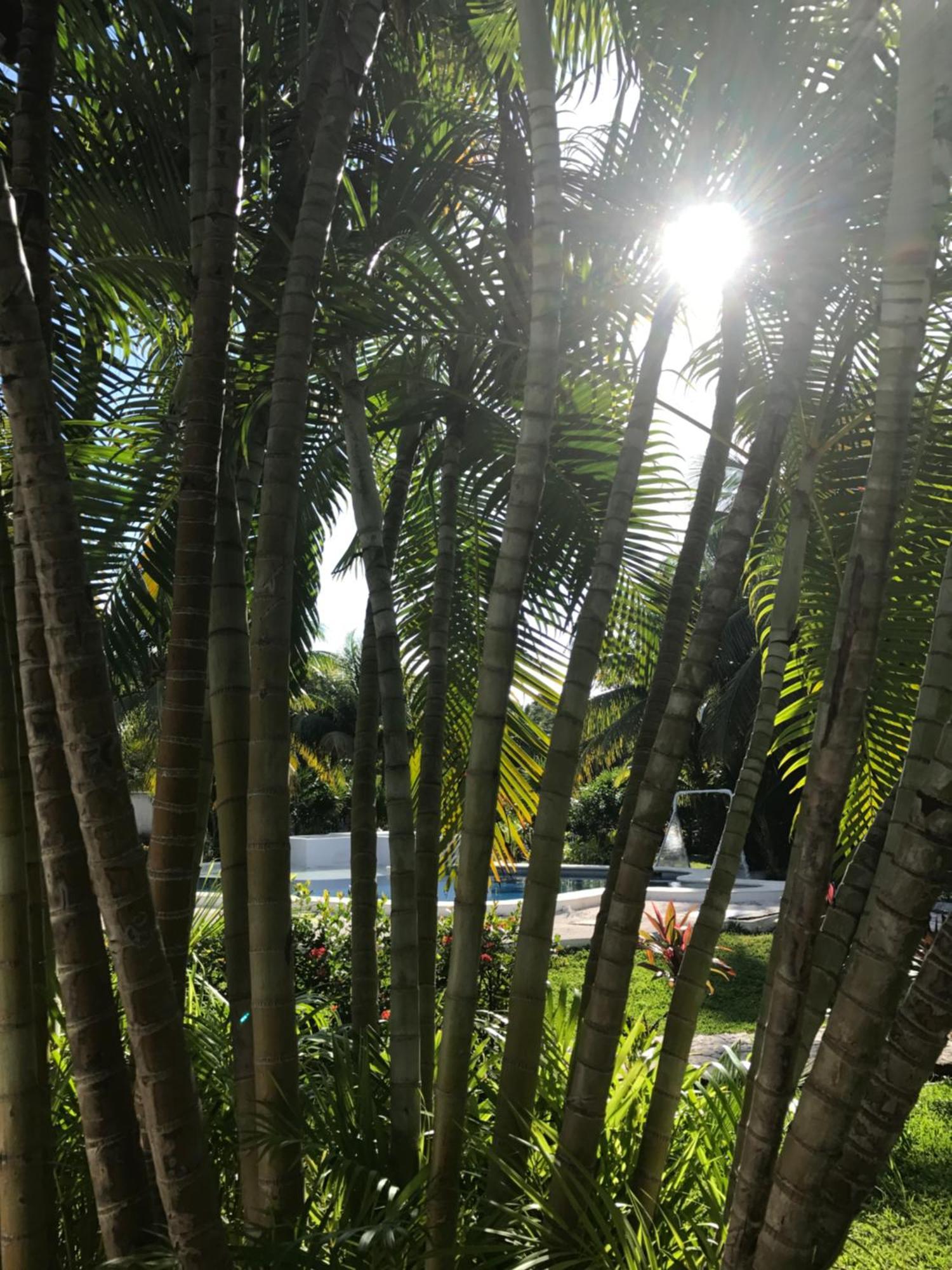 El Capitan Guest house 3*