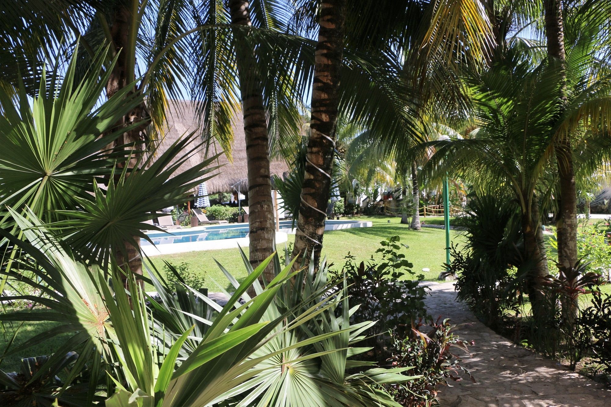 Guest house El Capitan