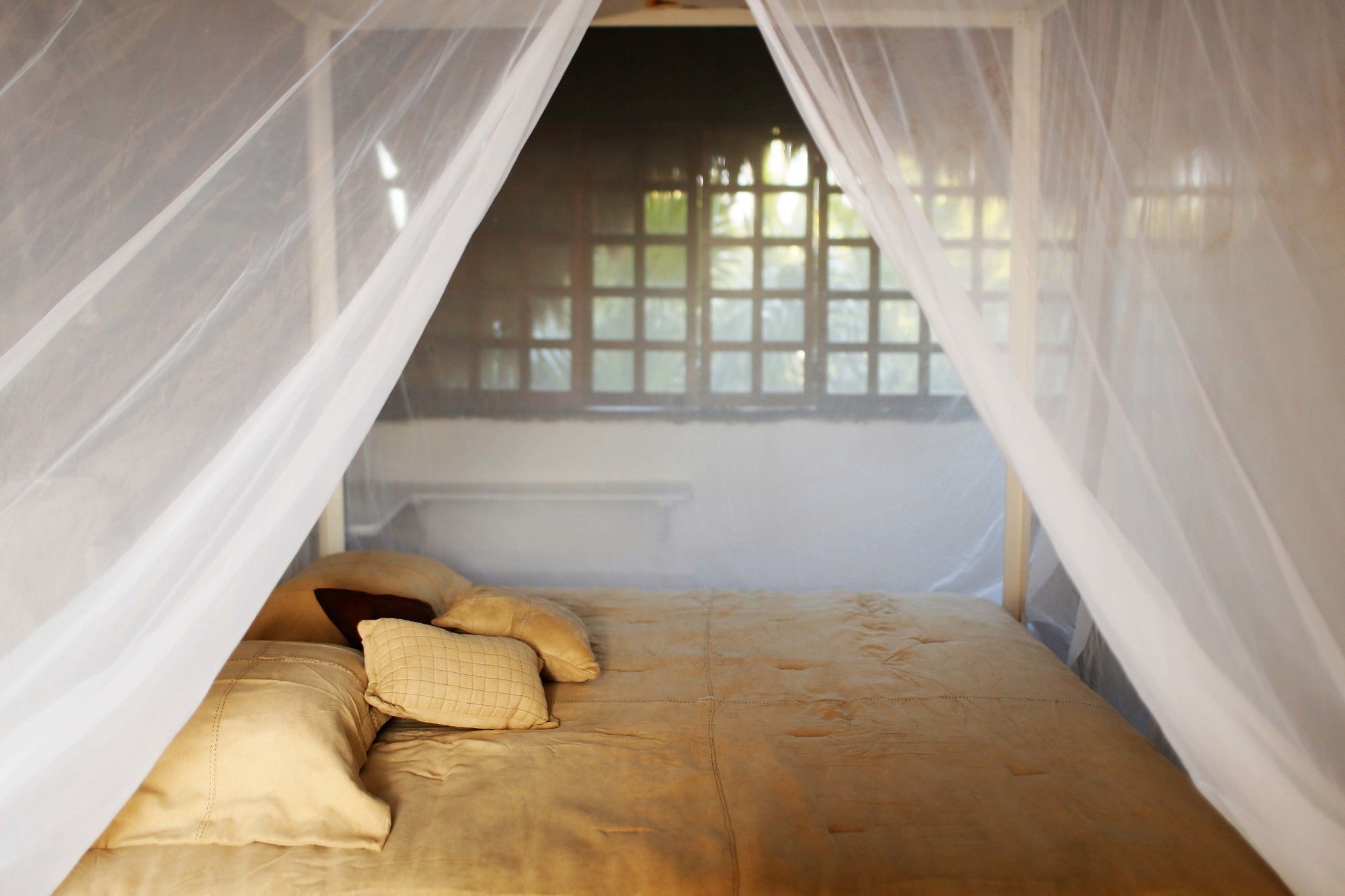 Casa Selva De Luz Tulum