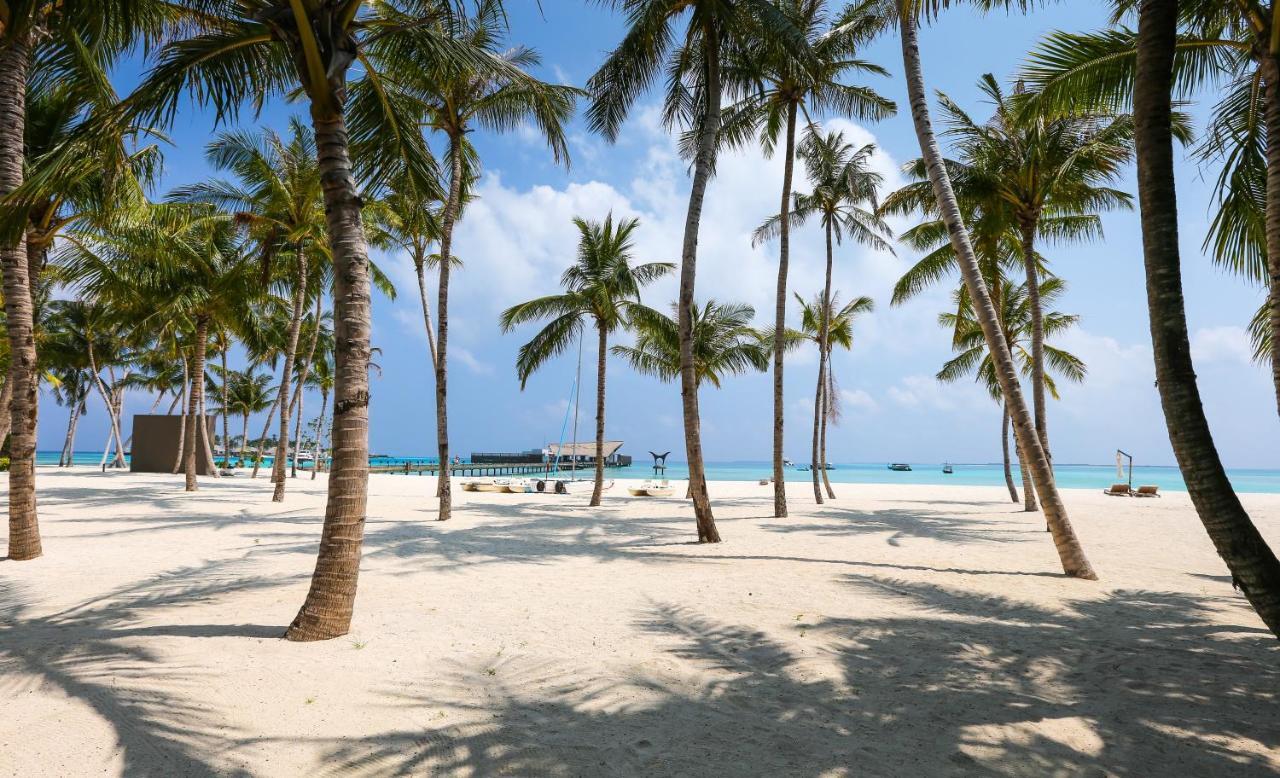 Blanco Adults Only Hotel Tulum